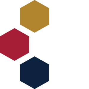 CTSI Icon