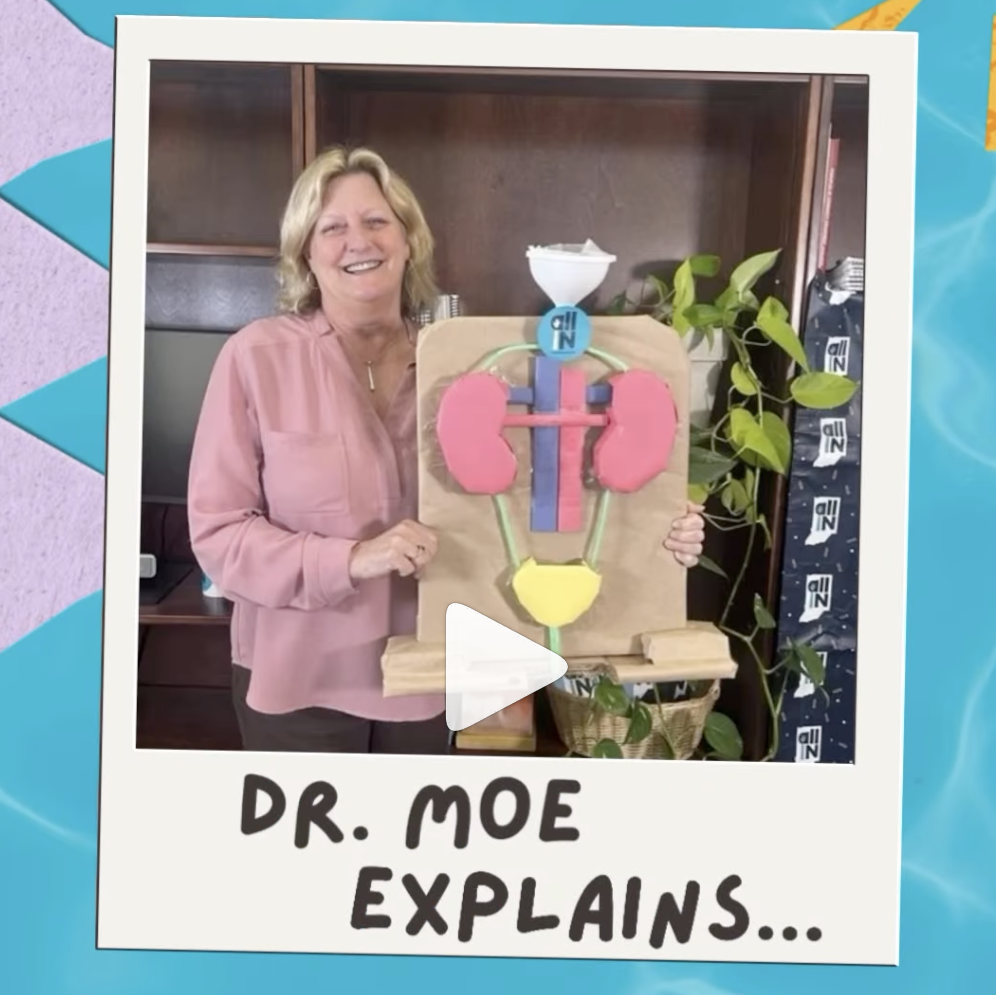 Dr. Sharon Moe holds a model of the kidneys.