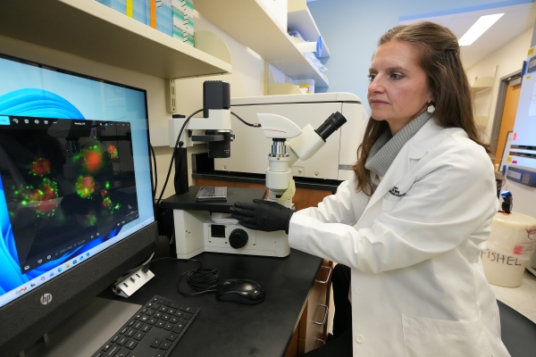 Melissa Fishel works in her lab. She is wearing a white lab coat, looking at a computer monitor that is displaying the image of a sample on the attached microscope.
