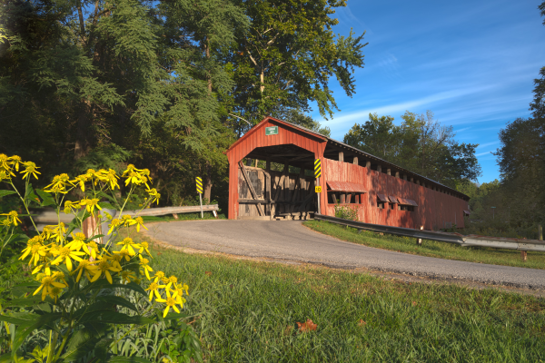 A red covered bridge sits to the center-right of the image. There are trees and blue sky, and in the left foreground of the image, yellow wildflowers.