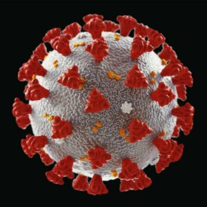 image of a virus particle