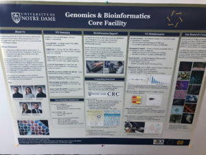 Scientific poster on display