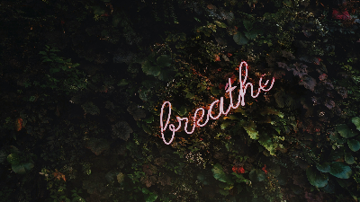 photo of green plants with the word breathe in front