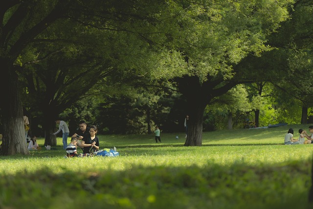 Image shows a green space park with several families playing and conversing in the background