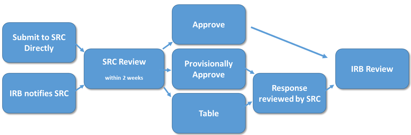 scientific review committee process diagram