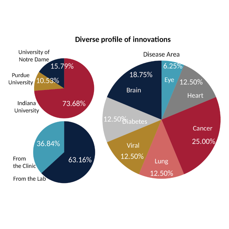 diverse profile of innovations pie charts